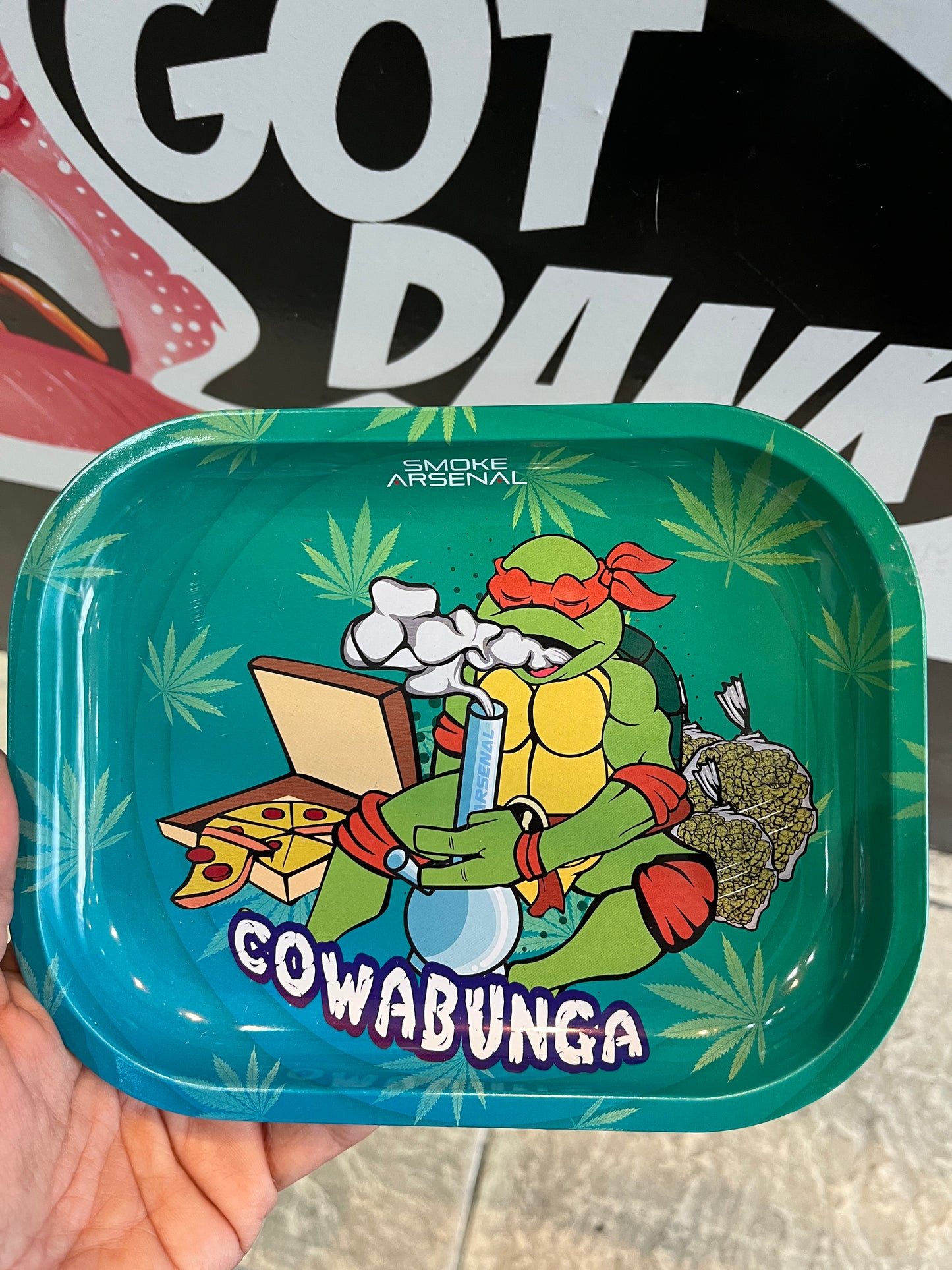 TMNT Small Tray